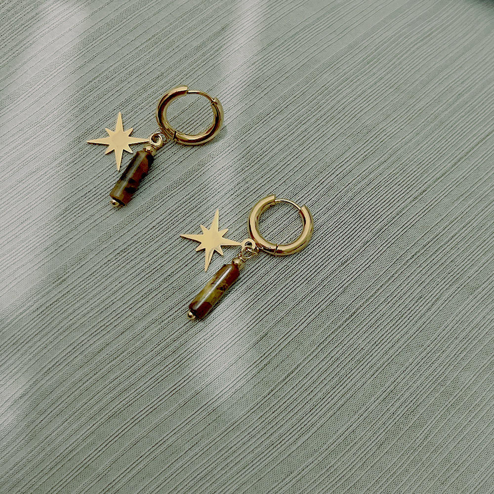 Tiger Eye Earrings in Stainless Steel for Protection & Confidence