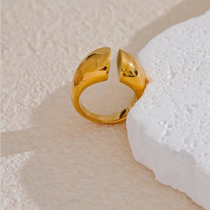 Anishka Ring