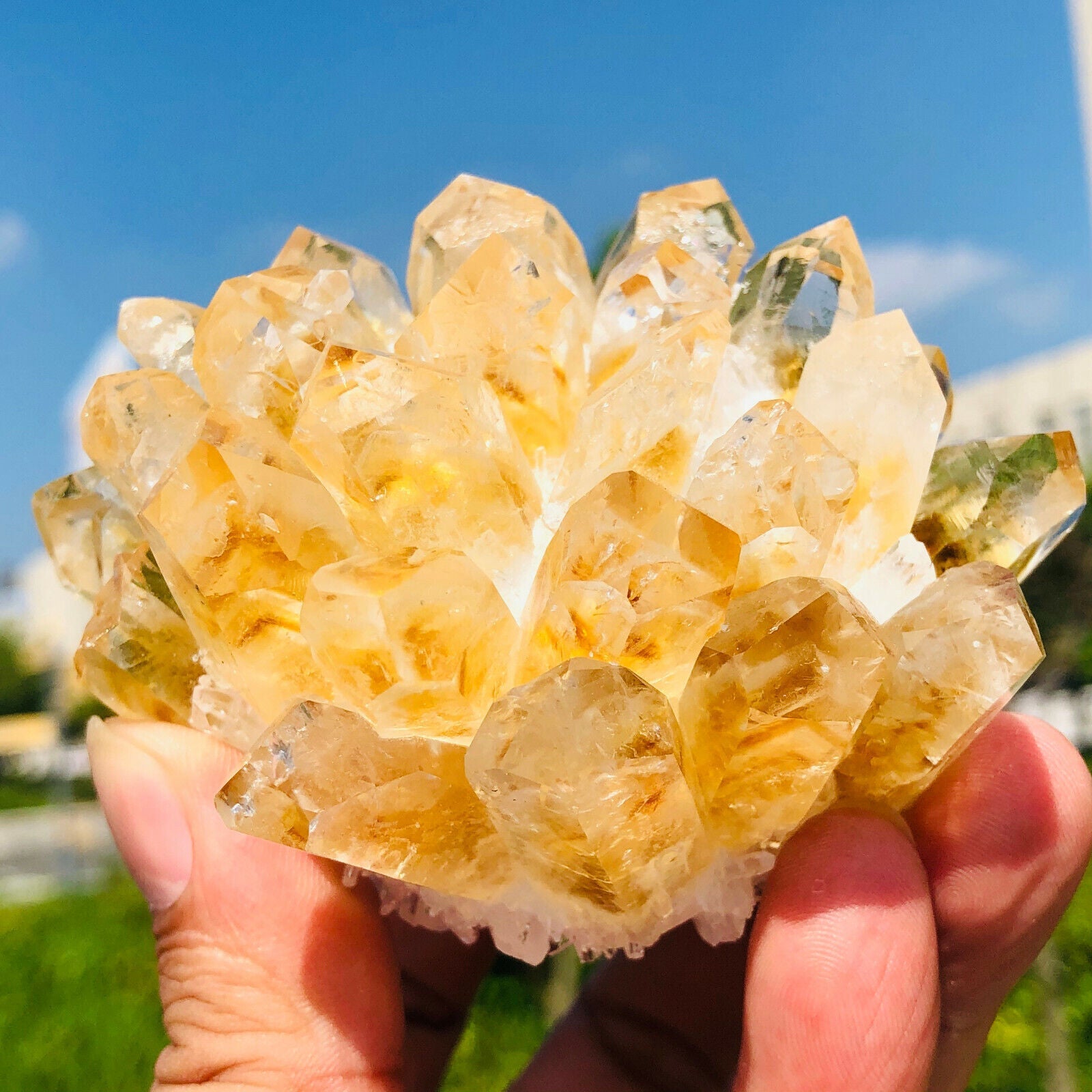 Citrine Cluster for Abundance